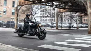 Indian Chief Dark Horse