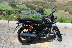 Mahindra Pantero 110