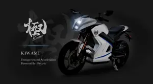 Terra Kiwami Electric Superbike Brochure