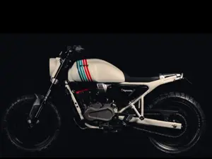 TVS Ronin 225 - Custom Model - Motosoul 2023