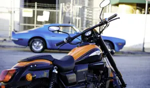 UM Global Renegade Sport S
