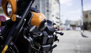 UM Global Renegade Sport S