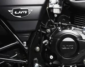 UM Global Renegade Sport Engine
