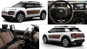 Citroen C4 Cactus Concept
