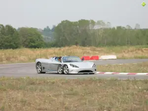 C6w Spider