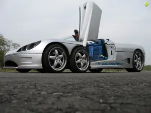 C6w Spider