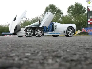 C6w Spider