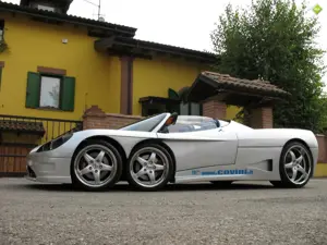 C6w Spider