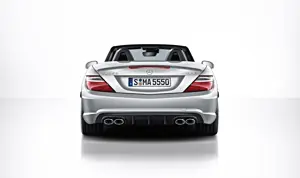 2014 Mercedes SLK 55 AMG Rear View