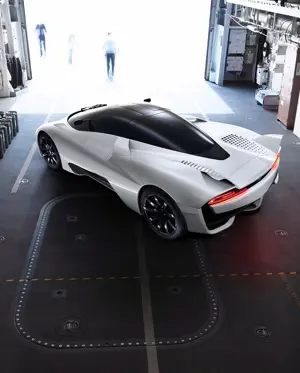 Tuatara