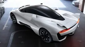 Tuatara