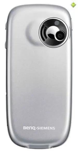 C31