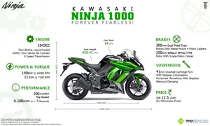 2014 Kawasaki Ninja 1000: Forever Fearless!