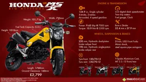 Honda MSX-125 – Big Attitude!