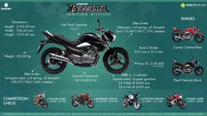 Suzuki Inazuma GW250 - Igniting Attitude!