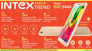 Quick Facts - Intex Aqua Trend