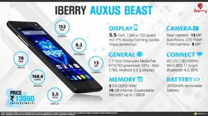 Quick Facts - iBerry Auxus Beast