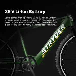 Tata Stryder Zeeta Plus E-Bike