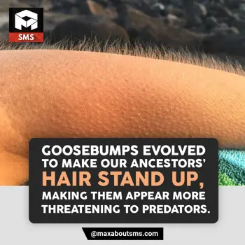 Facts Wishes: Goosebumps evolved t