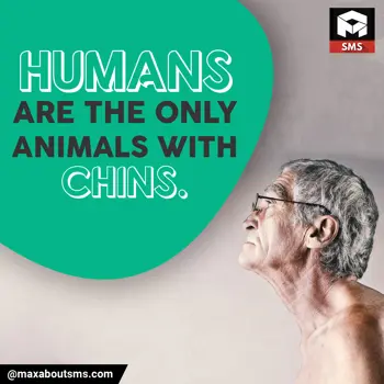 Facts Wishes: HUMANS are the ONLY 