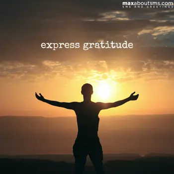 Good Morning Wishes: Express Gratitude
Go