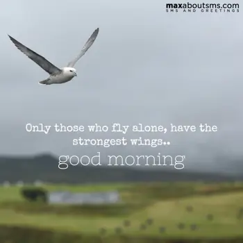 Good Morning Wishes: Only those who fly a