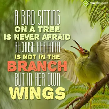 Inspirational Quotes Wishes: A bird sitting on a 