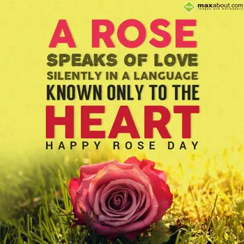 Rose Day Wishes: A Rose speaks of lov