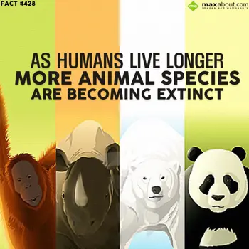 Animal Facts Wishes: As humans live longe