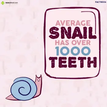 Animal Facts Wishes: Average snail has ov