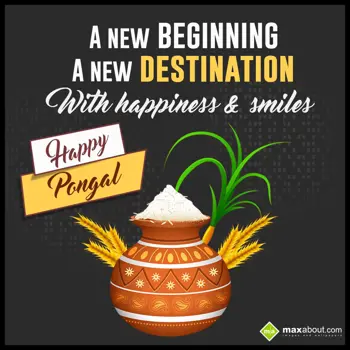 Pongal Greetings Wishes: A new beginning,
A 