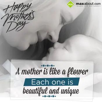 Mother Day Wishes: A Mother Is Like A F