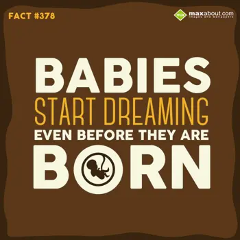 Facts Wishes: Babies start dreamin