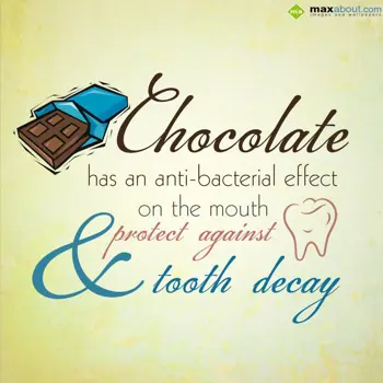 Miscellaneous Facts Wishes: Chocolate has an ant