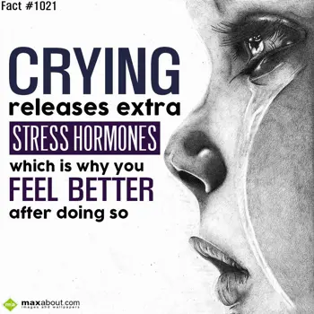 Facts Wishes: Crying releases extr