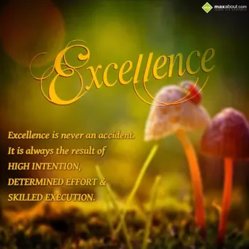 Life Wishes: Excellence is never 