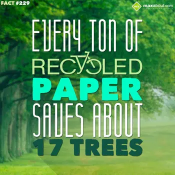 Facts Wishes: Every ton of recycle