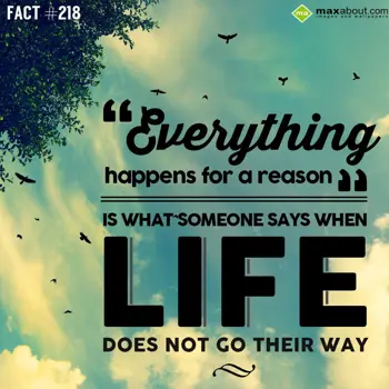 Miscellaneous Facts Wishes: "Everything happens 