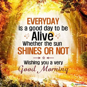 Good Morning Greetings Wishes: Everyday is a good d