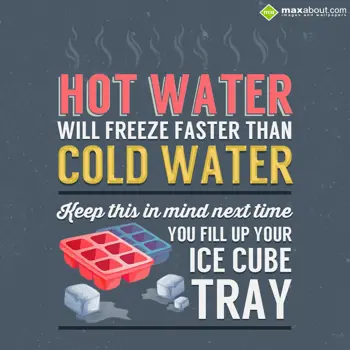 Miscellaneous Facts Wishes: Hot water will freez