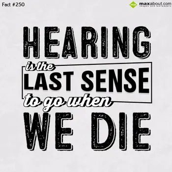 Human Body Facts Wishes: Hearing is the last 