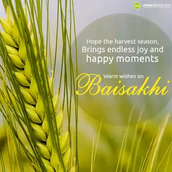 Baisakhi Wishes: Hope the harvest sea