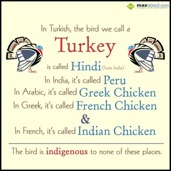 Animal Facts Wishes: In Turkish, the bird