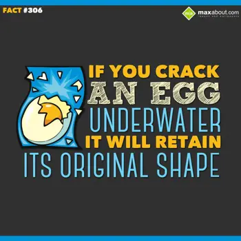 Miscellaneous Facts Wishes: If you crack an egg 