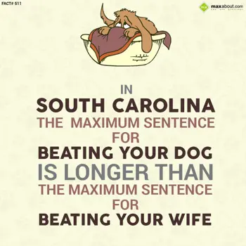 Country Facts Wishes: In South Carolina, t