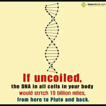 Human Body Facts Wishes: If uncoiled the DNA 