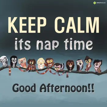 Afternoon Wishes: Keep calm its nap ti