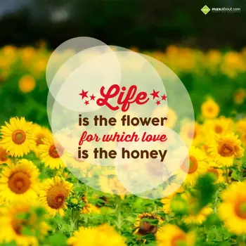 Life Wishes: Life is the flower
