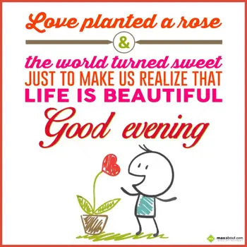 Evening Wishes: Love planted a rose 