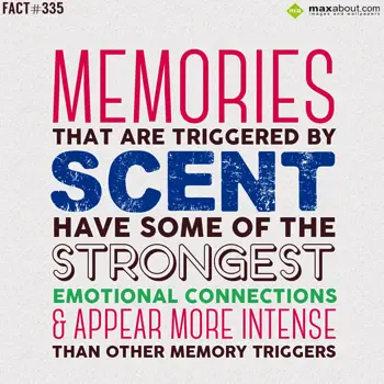 Human Body Facts Wishes: Memories that are tr